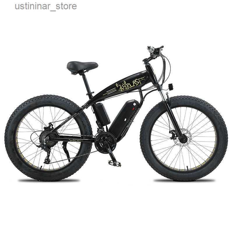 SpokeWhee48V13AH750W