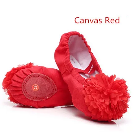 Canvas red