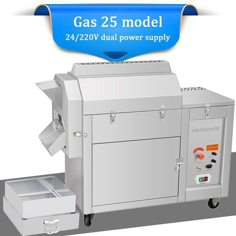 Gas 25 Model