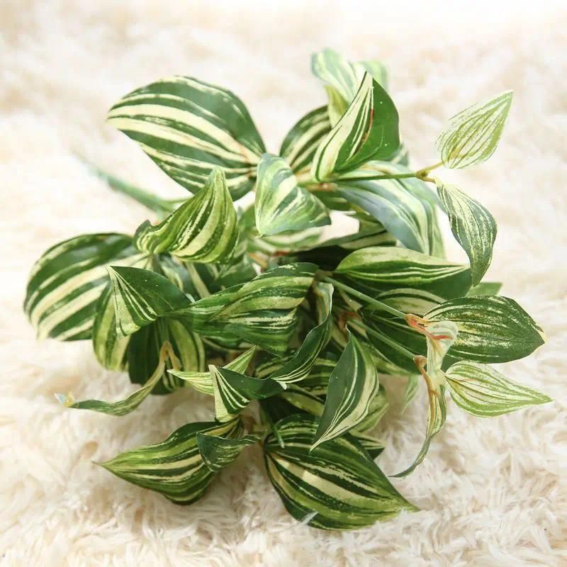 Light green plant