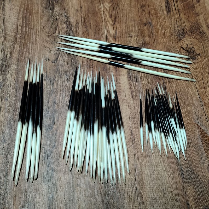 African Porcupine Quills Hair Sticks Natural Bone... From Dh912686698, &Price; | DHgate.Com 1 African Porcupine Quills Hair Sticks Natural Bone... From Dh912686698, &Price; | DHgate.Com