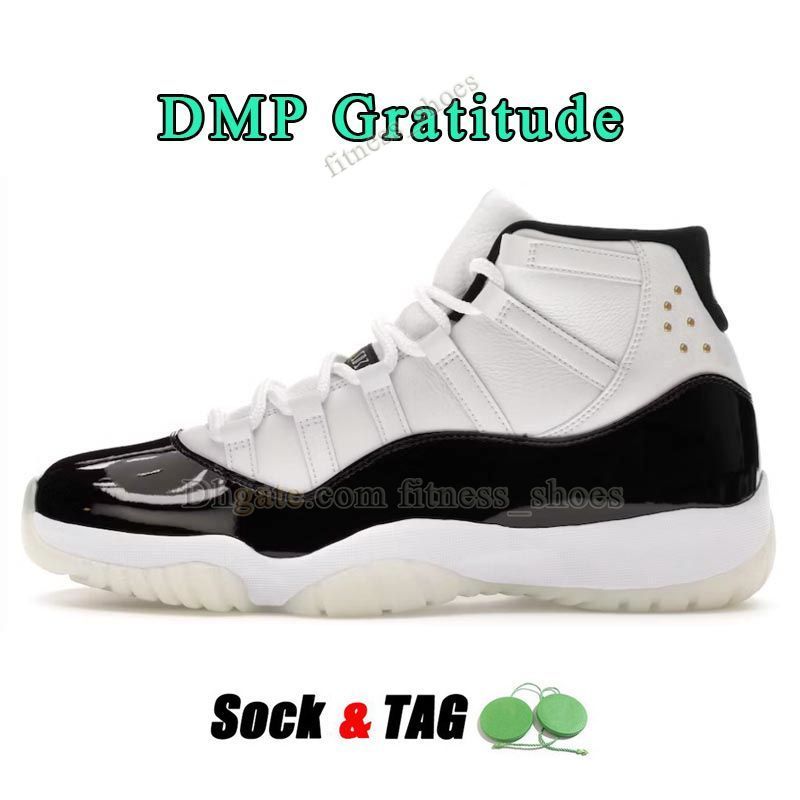 A61 36-47 DMP Gratitude