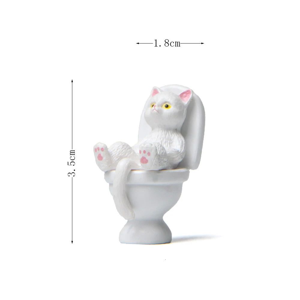 Chat blanc Figure 1