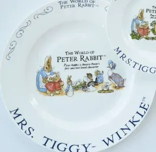 12-inch plate dish