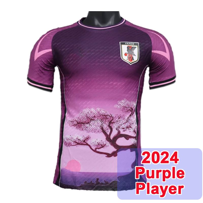 QY20900 2024 Purple No Patch