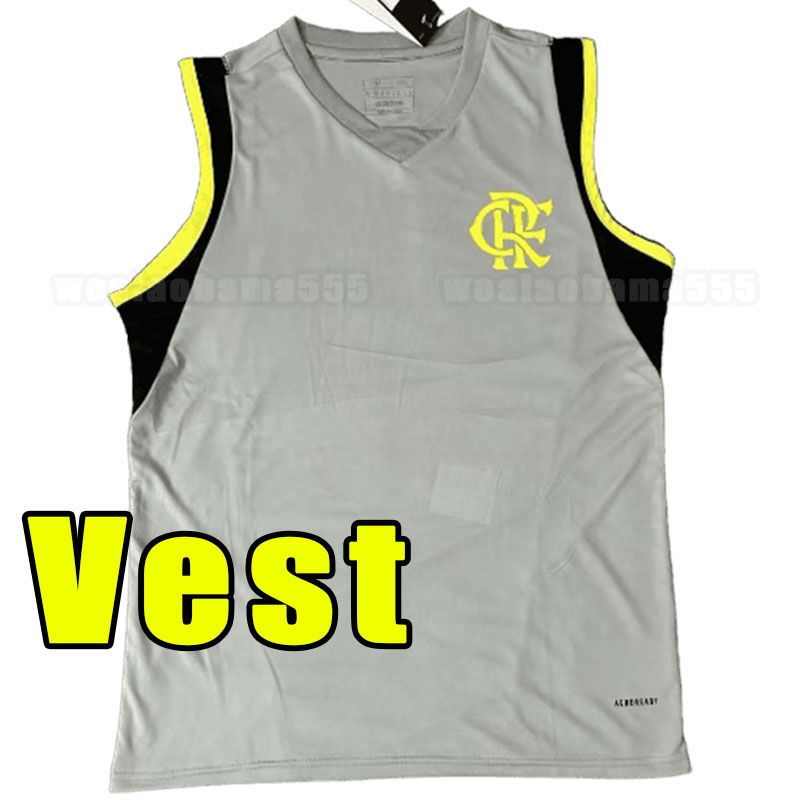 Vest3