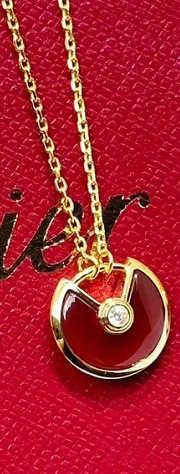 Goldene rote Schale Amulett Halskette