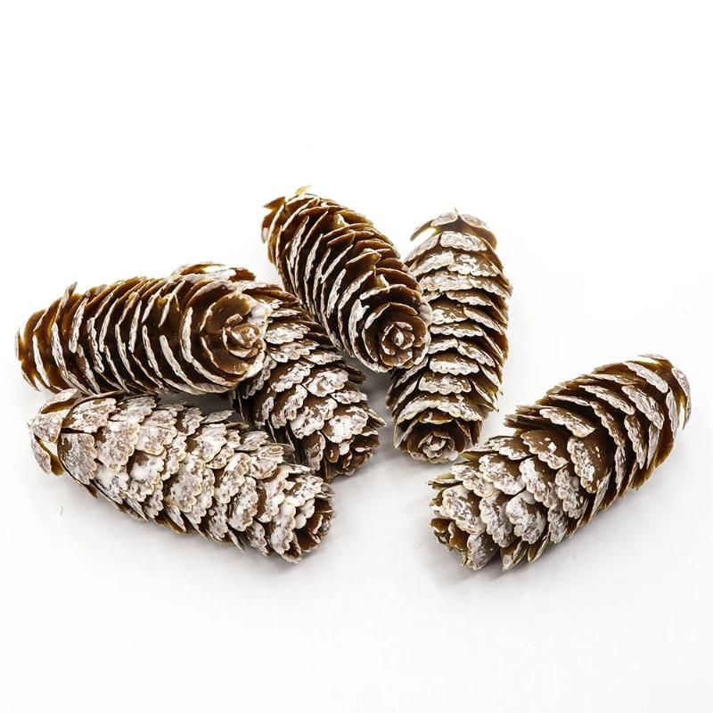 Pinecone 6cm 24pcs