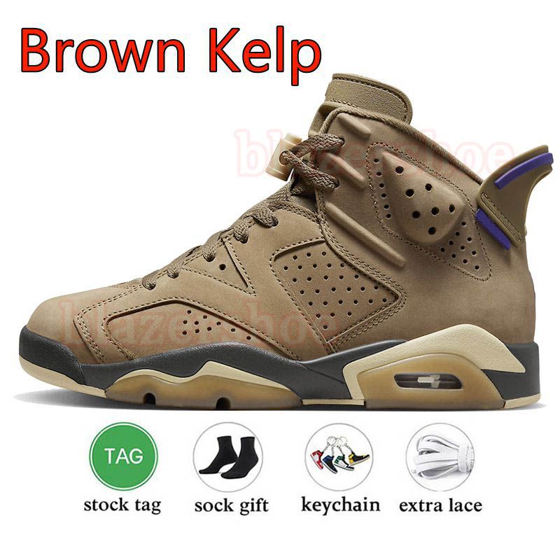 C25 Brown Kelp 36-47