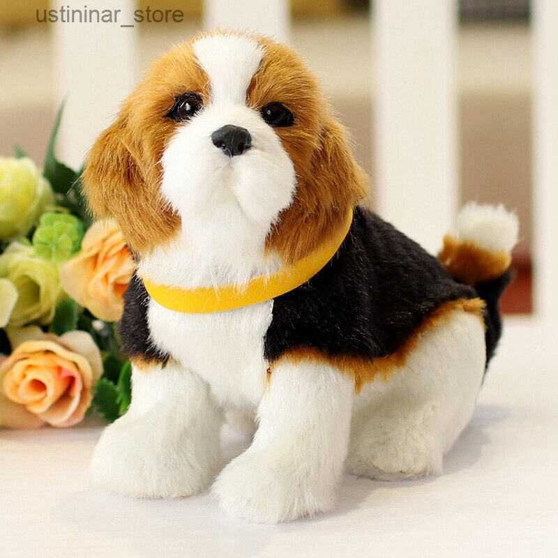 Beagle