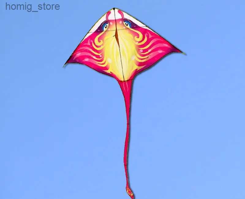 Kite com 50m Line4