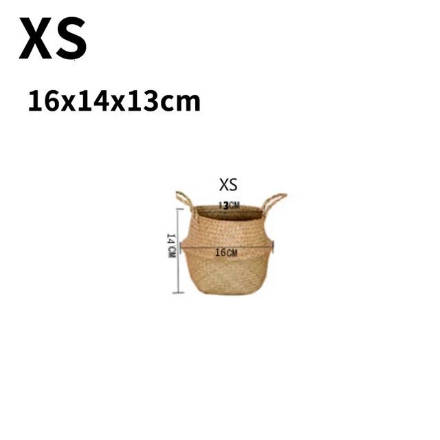 16cm Xs