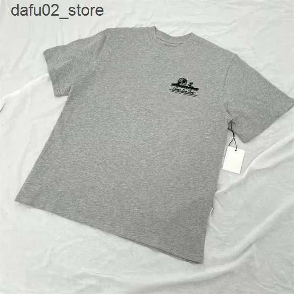 A01gray