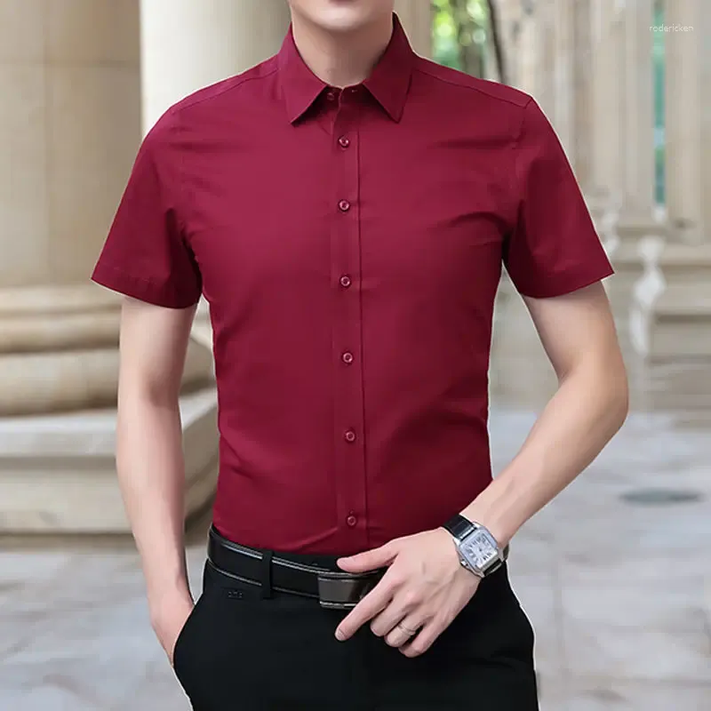 Wine Red Shirt