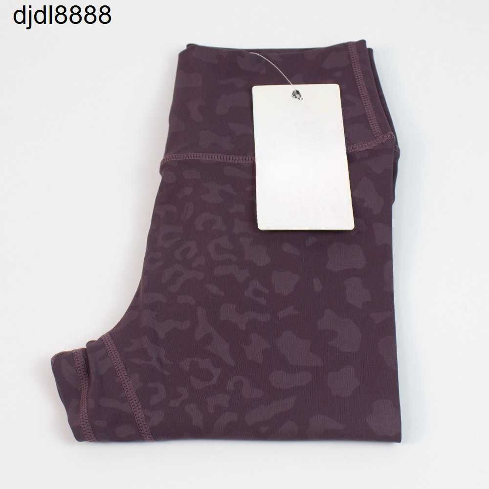 Ivy Purple Spot Nude Pants