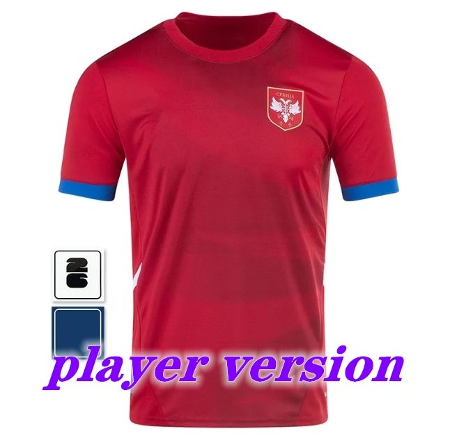 Home Player Version 2026 Quality Patch