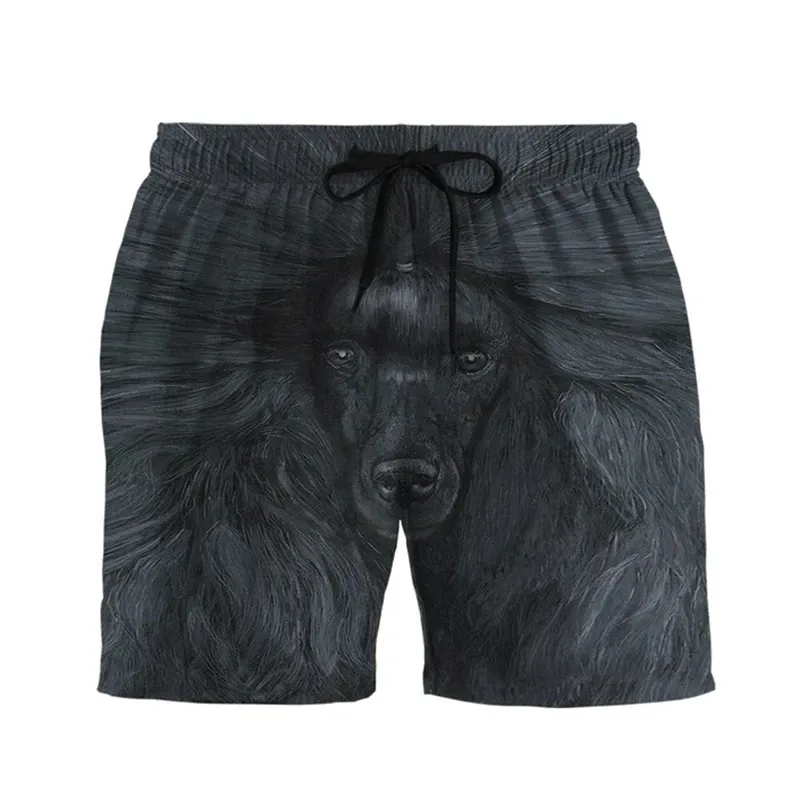 Shorts-NXH50091