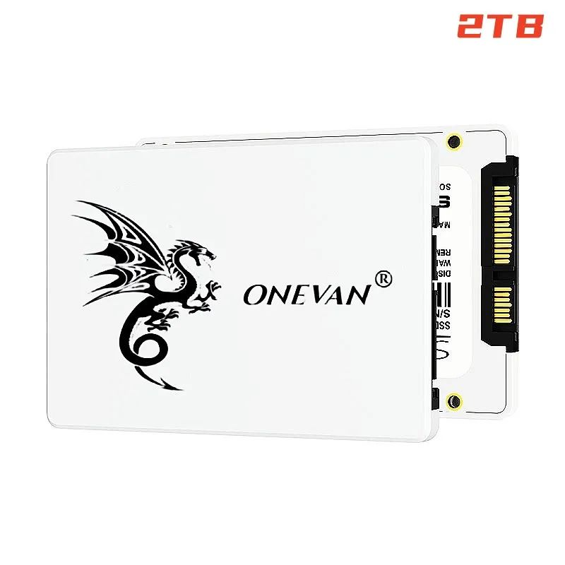 Couleur: SSD-2TB x 2PCS