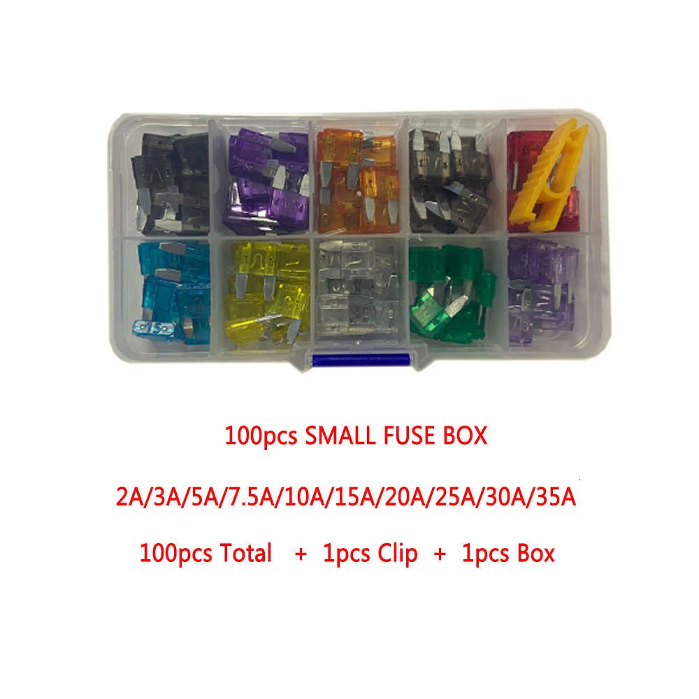 100pcs small fuse