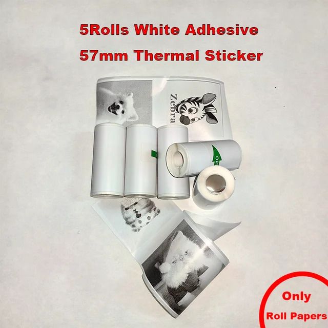 5 Rolls Sticker