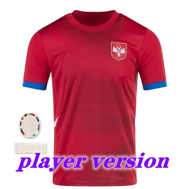 Home Player Version 2024 Euro Patch