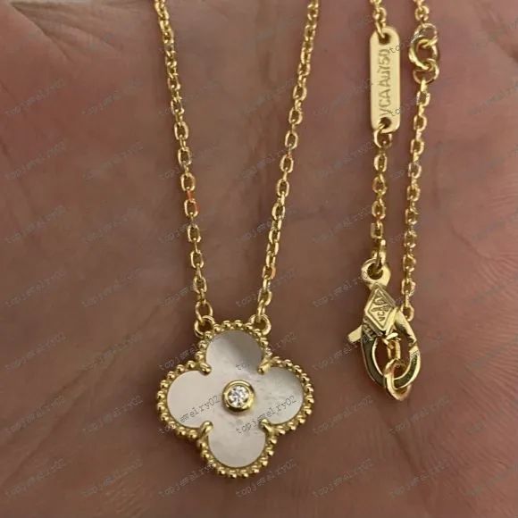 Gouden ketting+kleur1