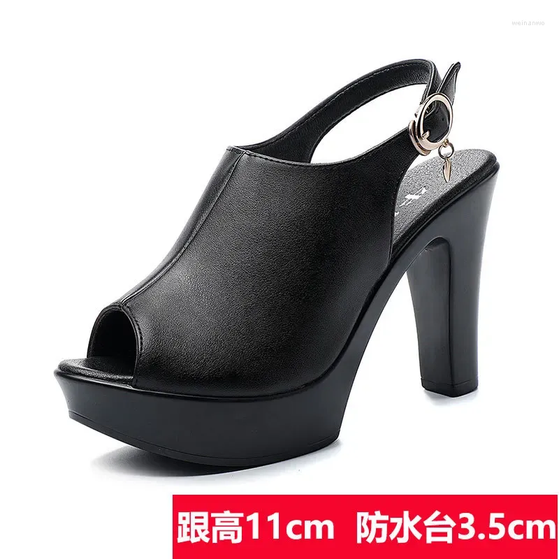 11cm black