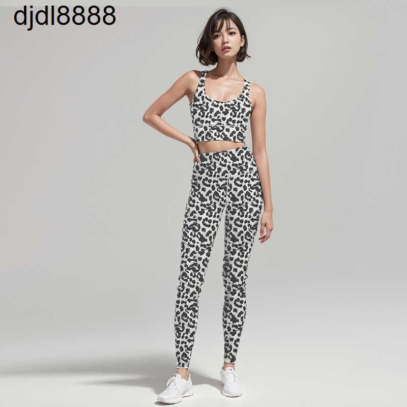 Antarctic Leopard Print 055 Bra+pants