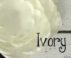 Ivory