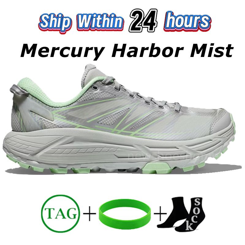 07 Mercury Harbor Mist