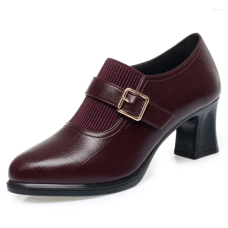 Y-391 Claret