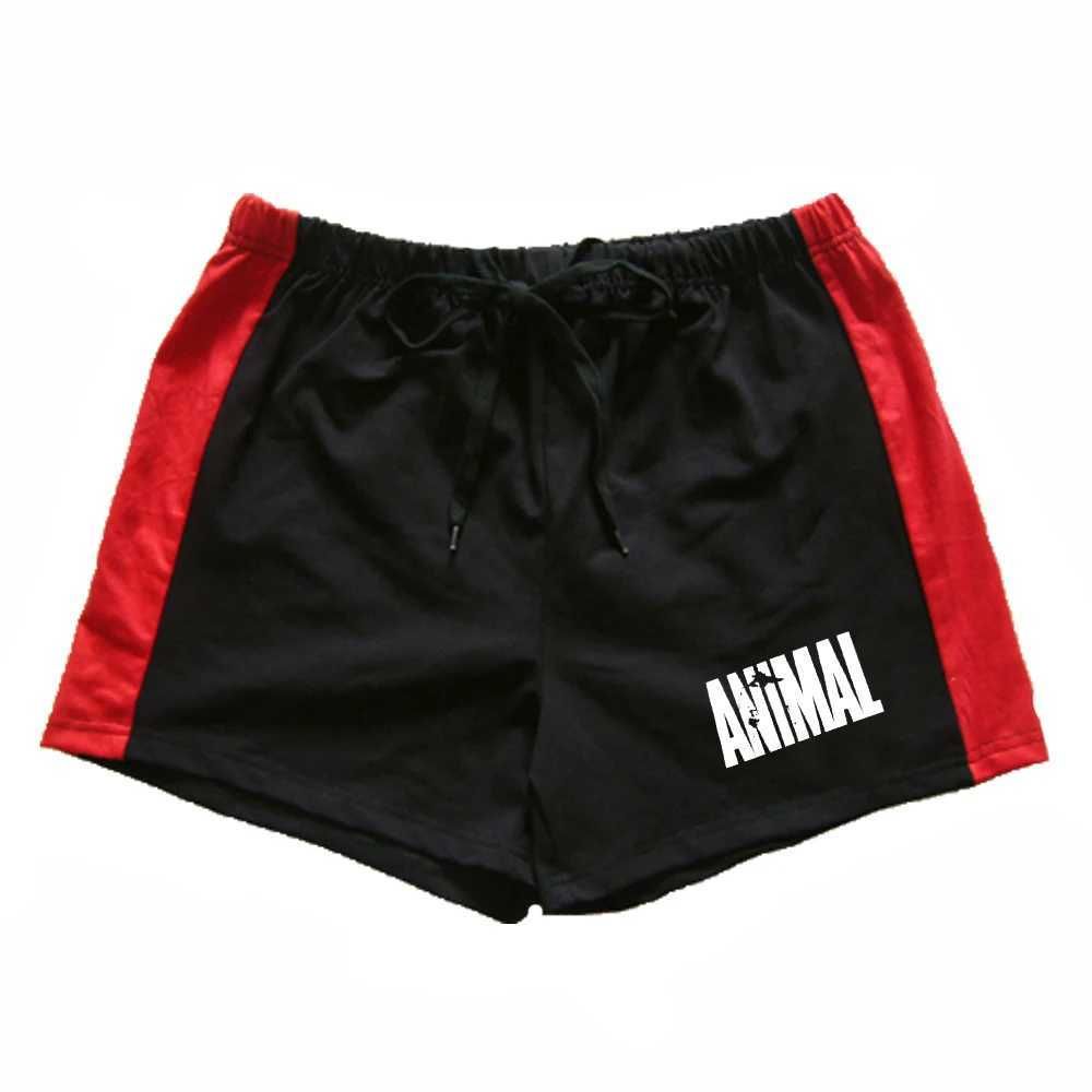 Running Shorts 11