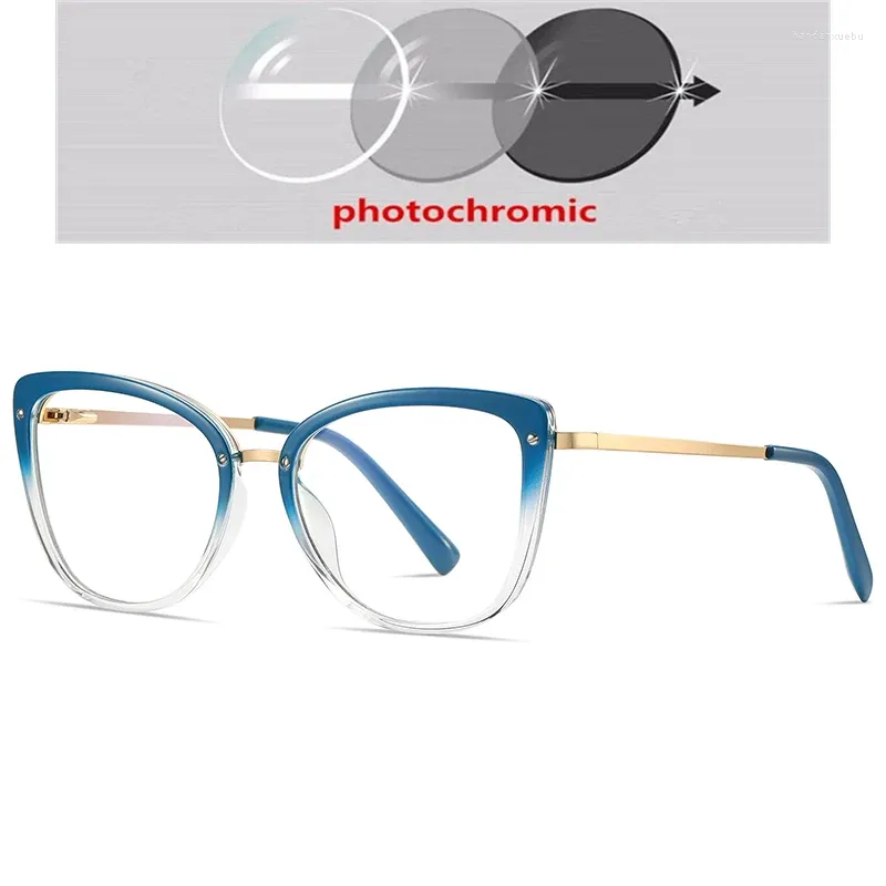 Photochromic Gray C6