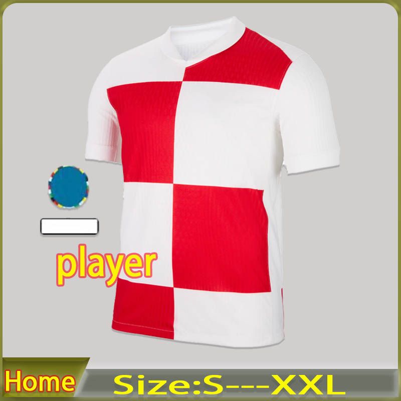 2024 Home Player Cup patch