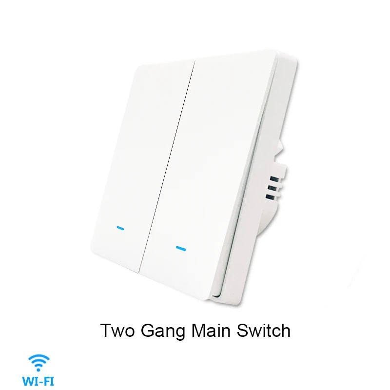 2 Gang Master Switch-100V-240V