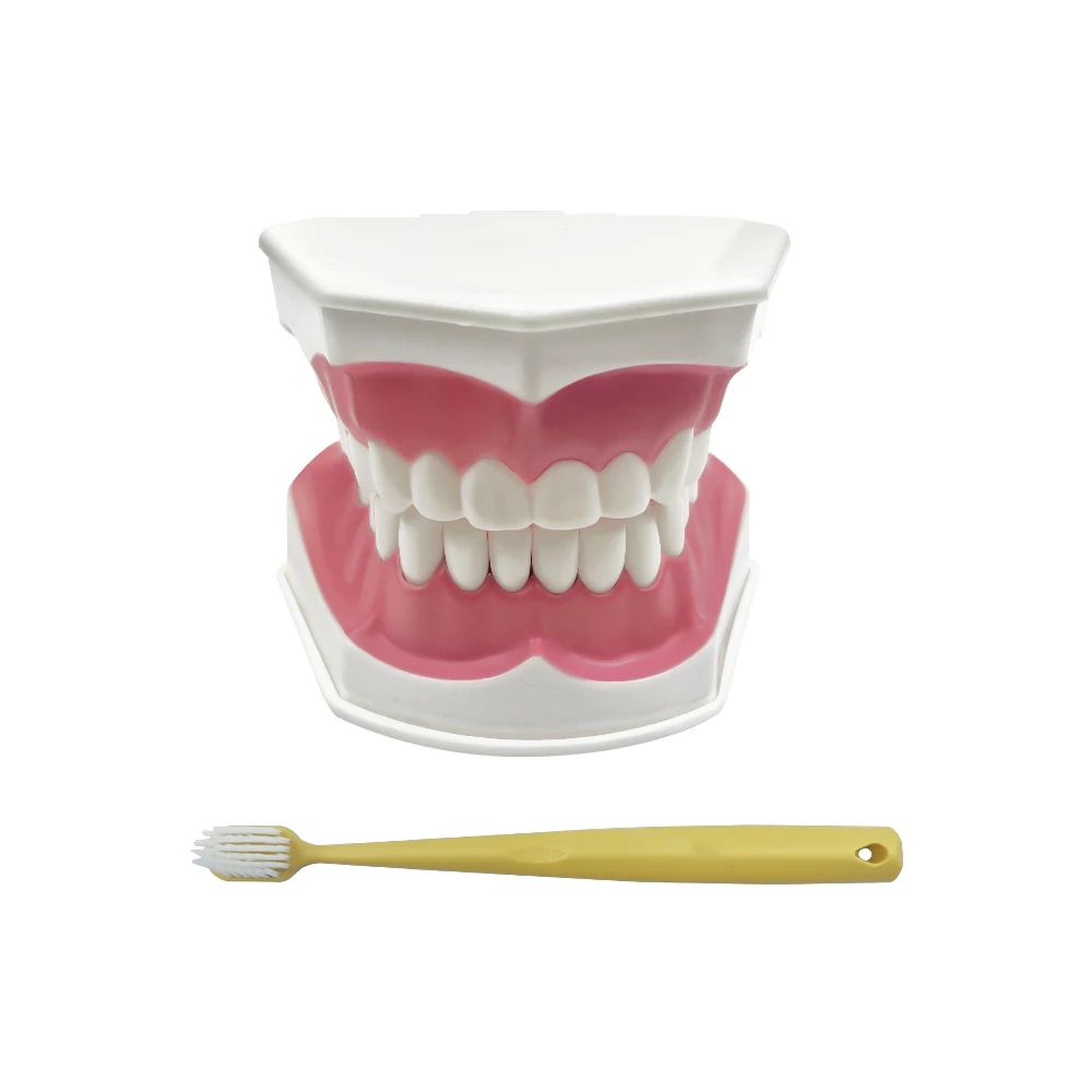 Kolor: model dentystyczny
