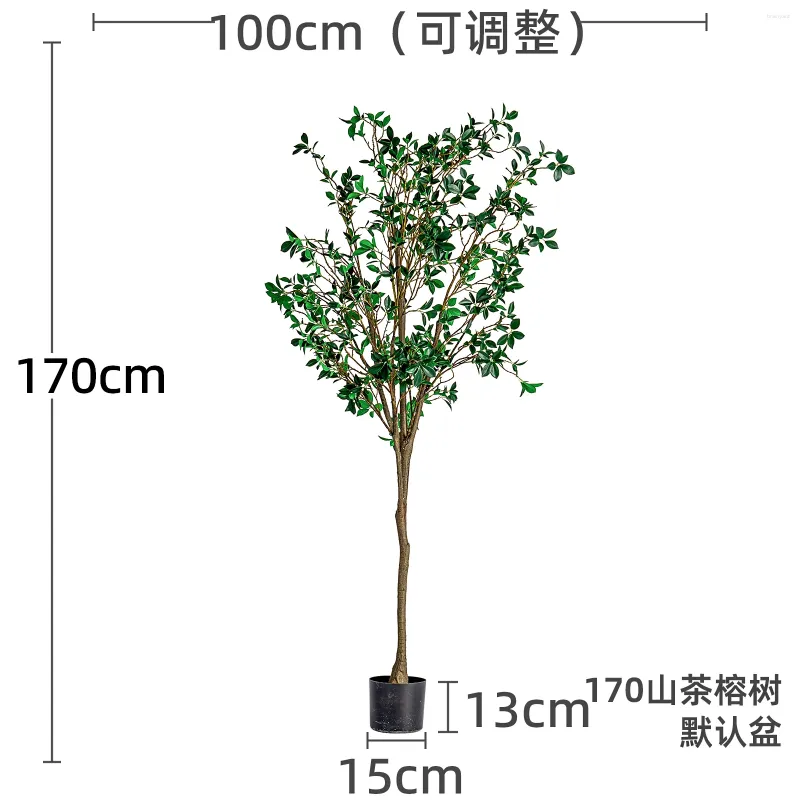 Banyan 1.7 m