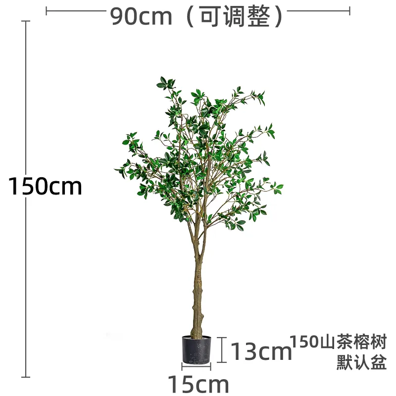 Banyan 1.5 m