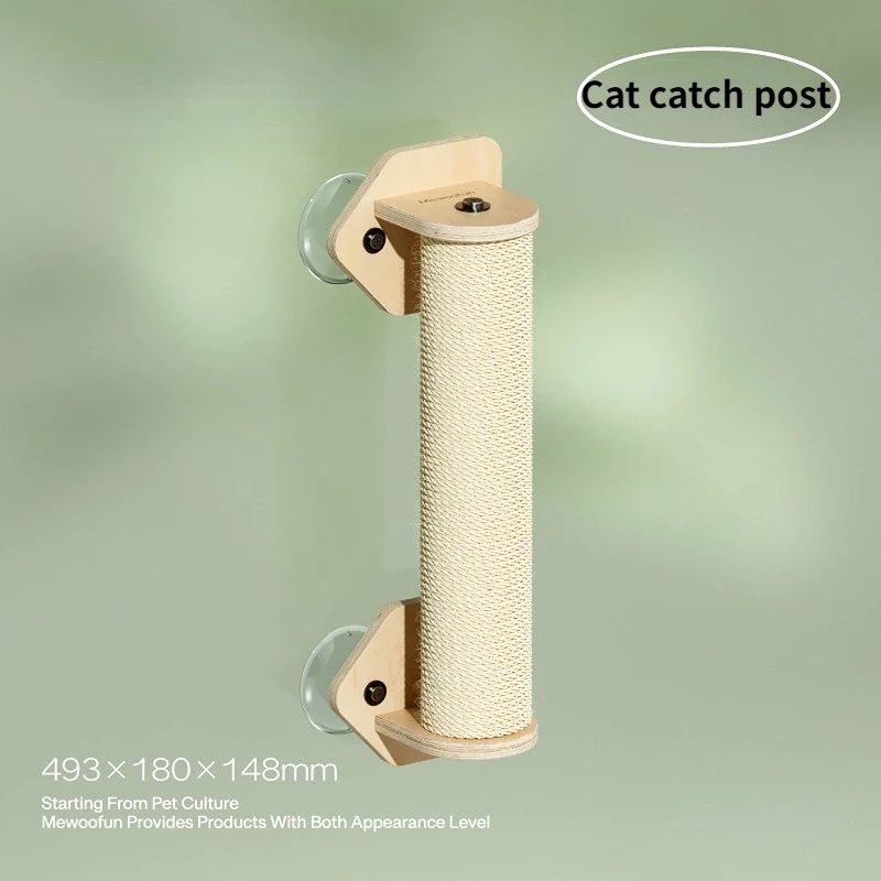 Kolor: Cat Catch Post