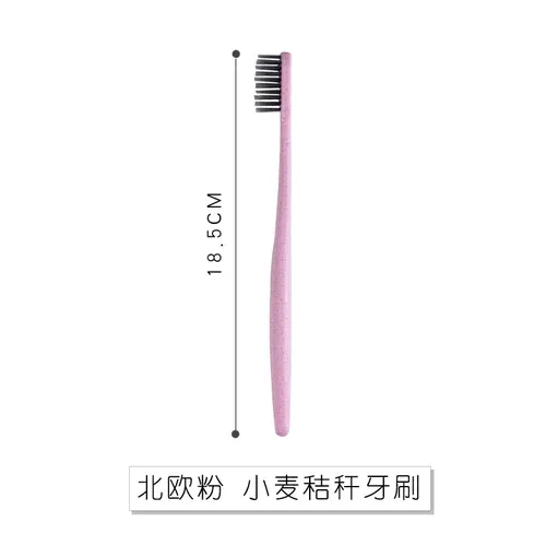 Straw Toothbrush1