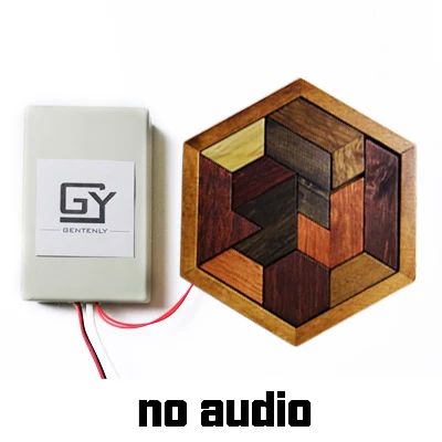 No Audio