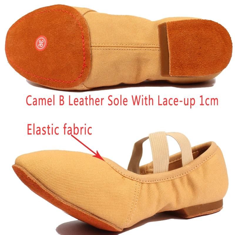 Camel B Leather 1cm