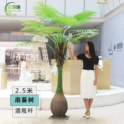 2.5 m fan Kwai tree