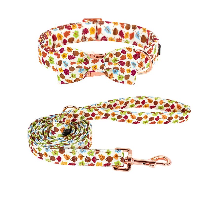 Couleur: Collar Leash Bowsize: XL