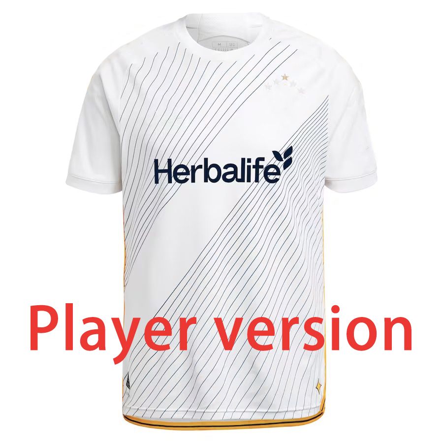 2024 player version