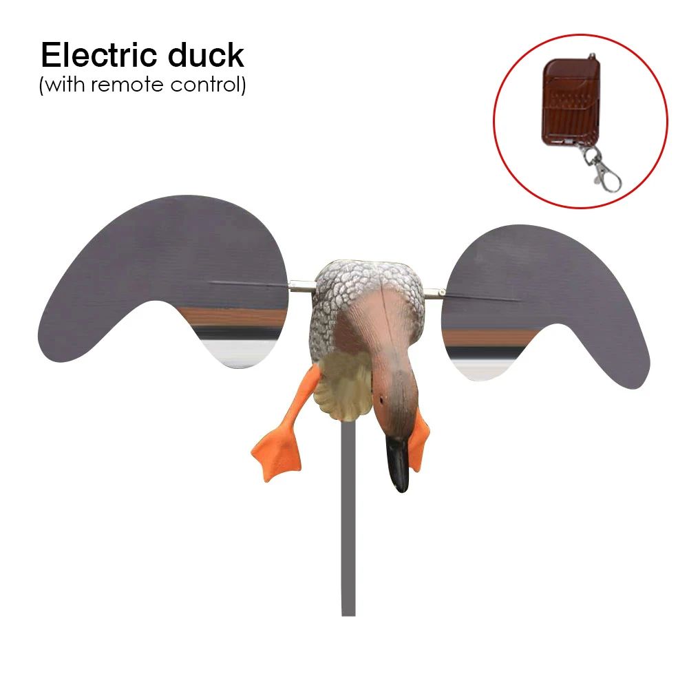 Color:Electricduck