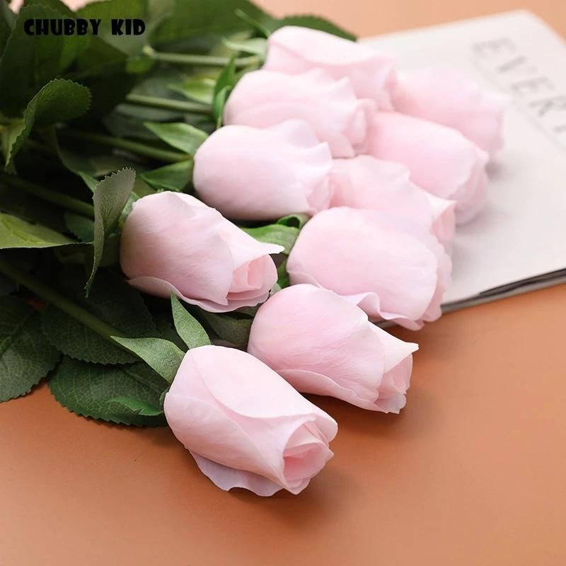 Light pink rose