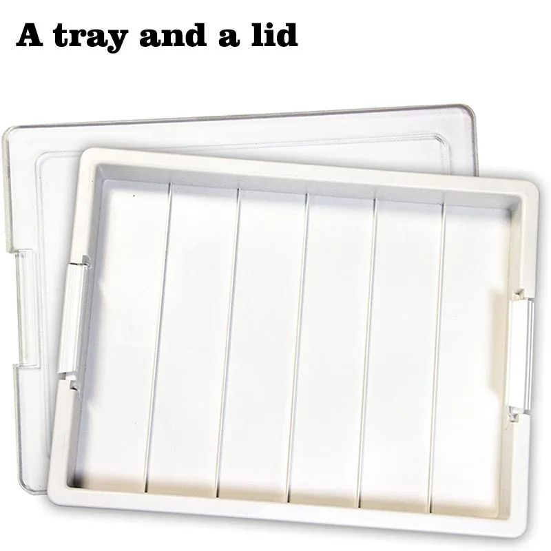 A Tray and Lid