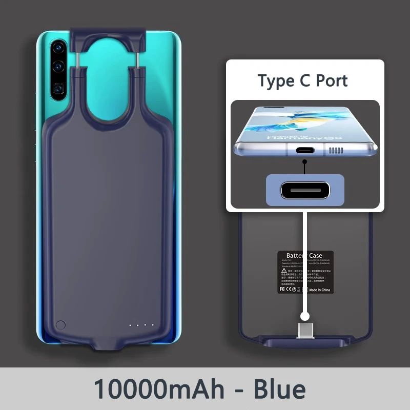 Colore: tipo C blu 10000 mAh