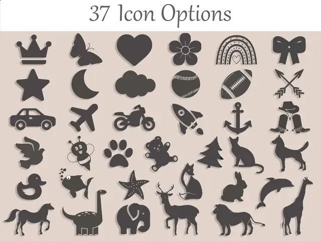 Icon Options